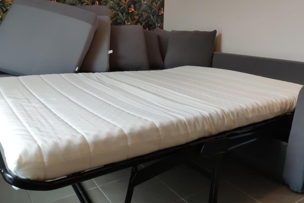 דירות דול Superbe Duplex « Le Grevy » מראה חיצוני תמונה